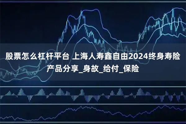 股票怎么杠杆平台 上海人寿鑫自由2024终身寿险产品分享_身故_给付_保险
